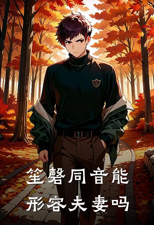 笙磬同音能形容夫妻吗