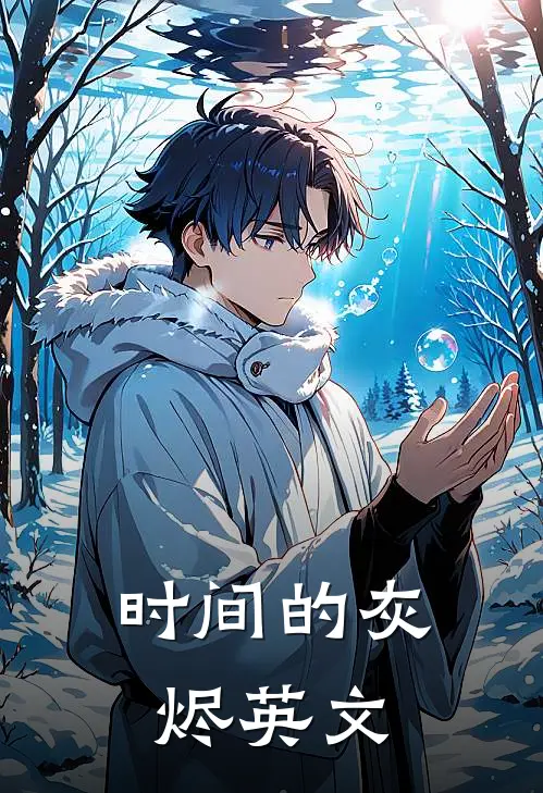 时间的灰烬英文